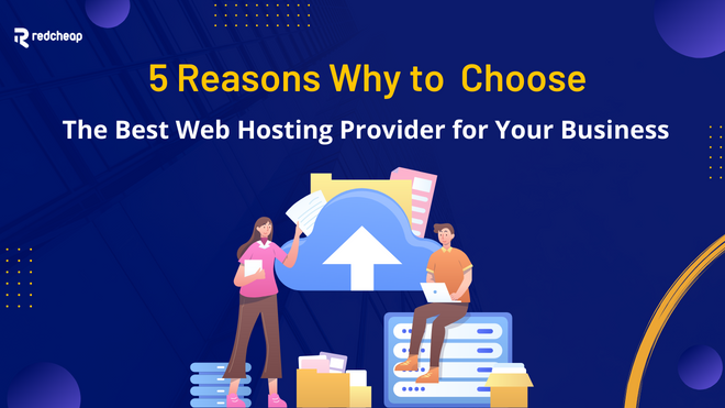 web hosting provider