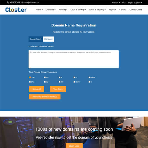 professional website themes