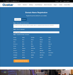 web hosting platform templates