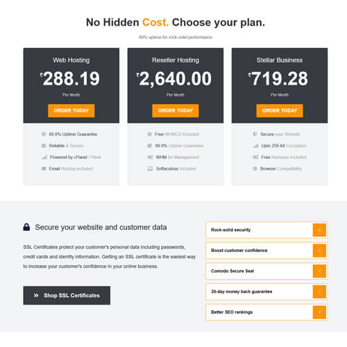 professional website themes