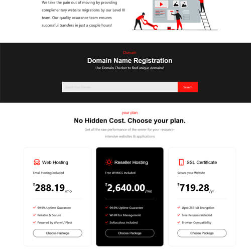 professional website themes