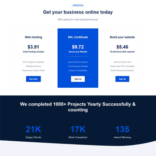 professional website themes
