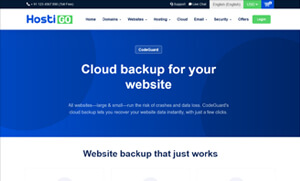 web hosting business