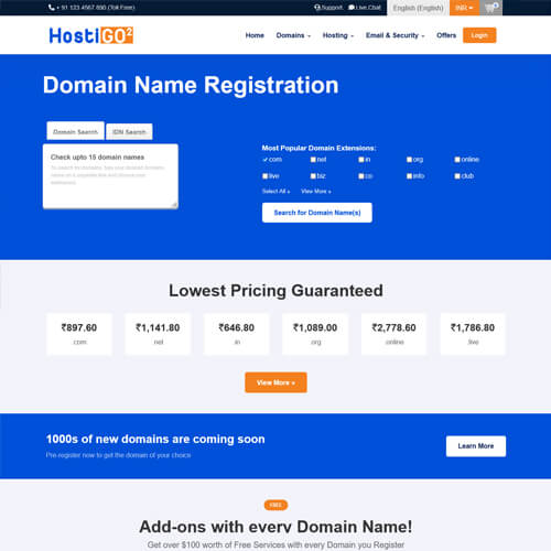 professional website themes