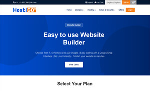 web hosting business