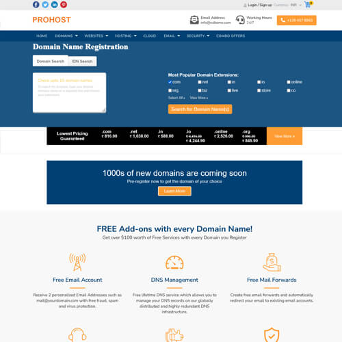 professional website themes