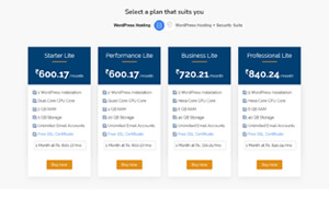 web hosting business