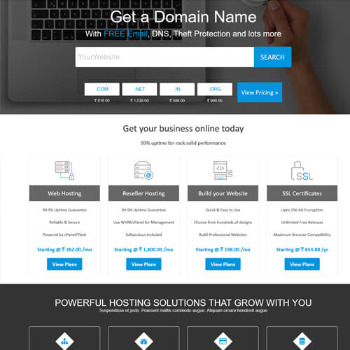 professional website themes