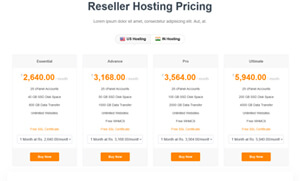 web hosting business