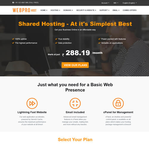 professional website themes