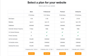 web hosting business