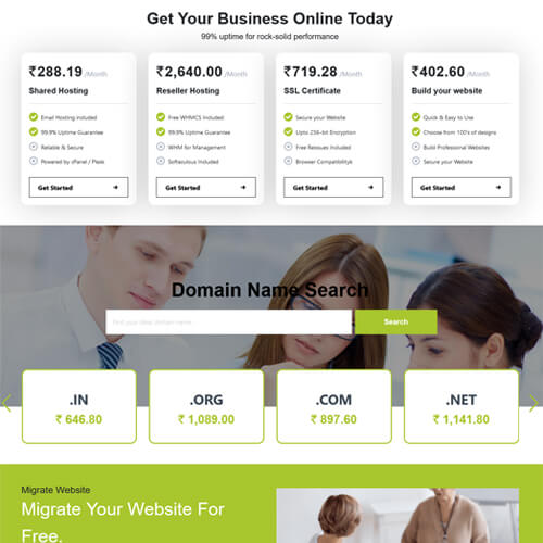 professional website themes