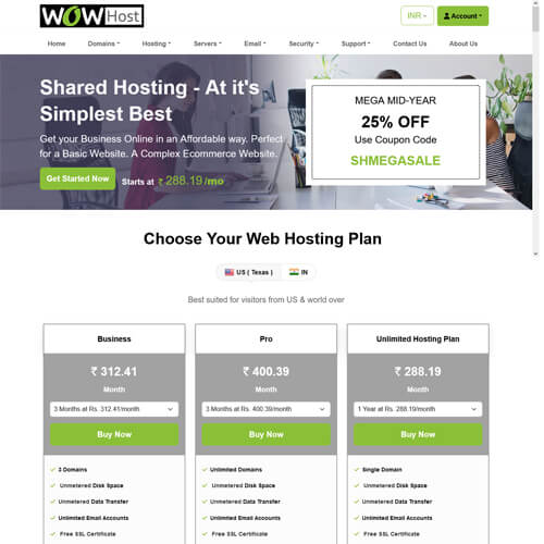 professional website themes