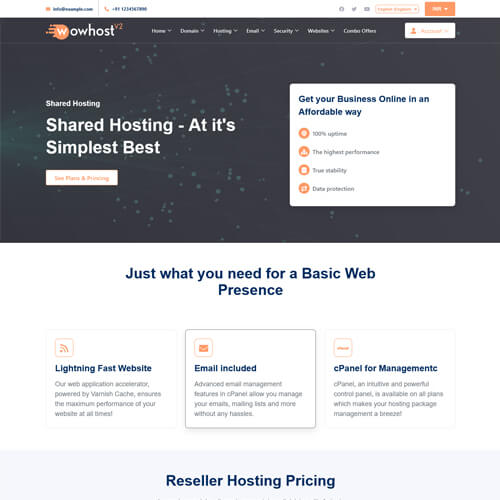 professional website themes
