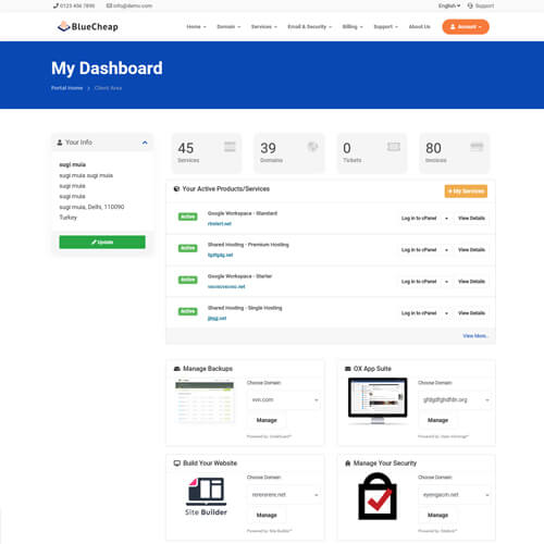 whmcs seo-friendly themes