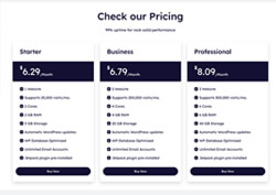 hosting provider themes