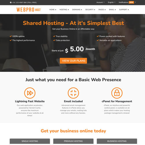 Customizable whmcs Templates